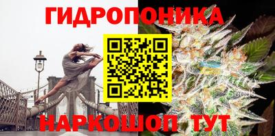 шишки Краснознаменск