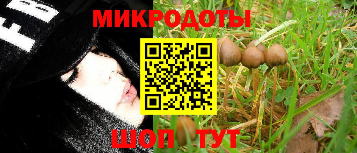 Еманжелинск  Галлюциногенные грибы Psilocybine cubensis  Псилоцибиновые грибы GOLDEN TEACHER  Вход с VPN 